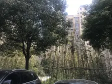 电梯房,中间层,不靠马路,看房方便,产权清晰