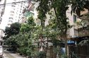 广西民委住宅区实景图