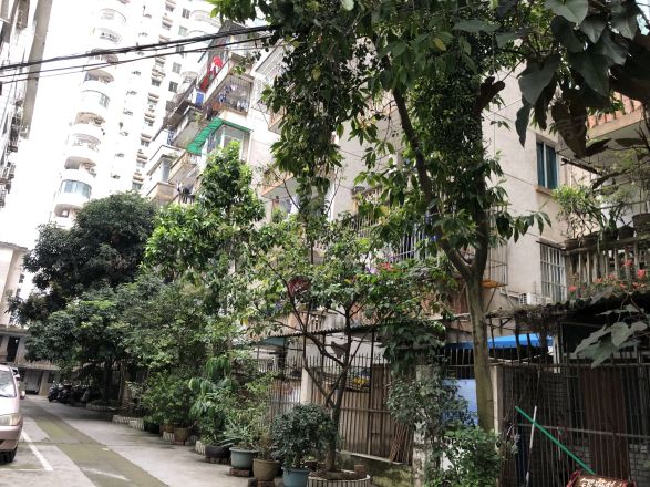 广西民委住宅区实景图