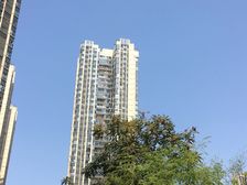 中粮鸿云3室1厅东南