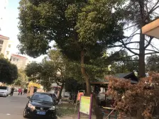 内江一村2室南朝向330.00万元/套出售