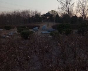 马南里2室1厅南北