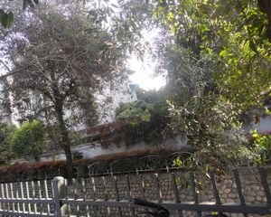 和贵蜜巢 1室1厅 东 东北