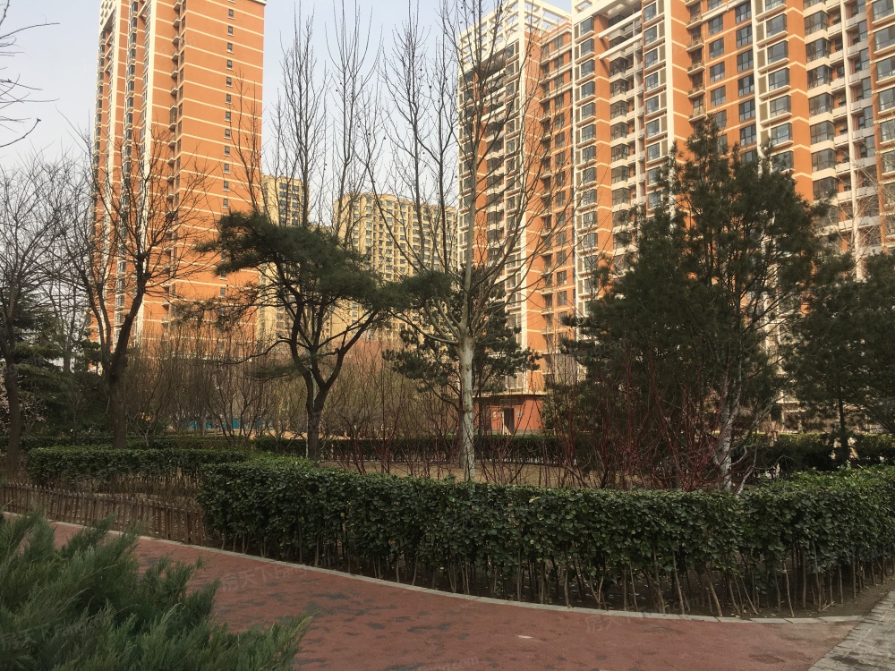 实景图