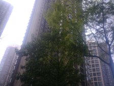 万科海悦汇城西区2室1厅西