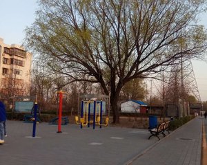 马南里1室1厅西北