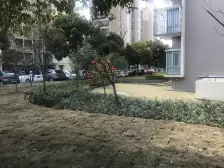 新杨和苑 1室1厅 南 北