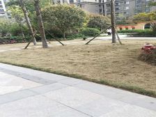 华润国际社区3室1厅南