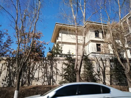 伟峰东樾725平双拼别墅赠四百万豪装低于市场价五百万赔钱出售