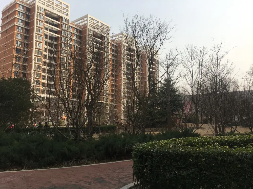 实景图