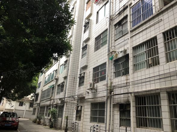 广西民委住宅区实景图