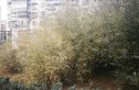 金顶北街59号院实景图