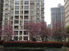 税费少 装修保养好 黄晶楼层 小区免沸停车 配套完善