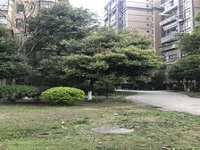 香樟林2室1厅西南