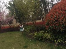 急售,上外嘉外,精装修拎包入住,满五年,价格可谈