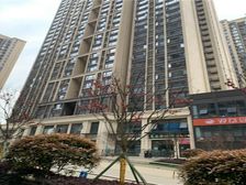 上东阳光林曦 3室2厅 南