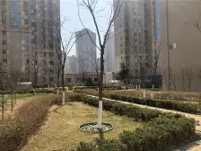 亿锋广场尚苑 2室1厅 南