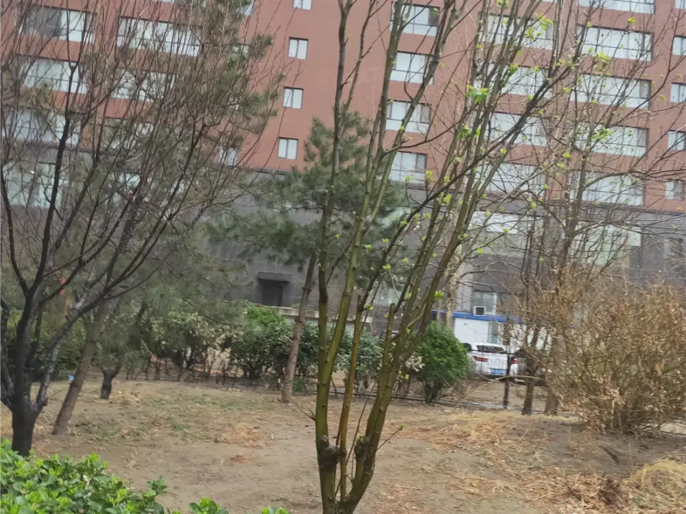 实景图