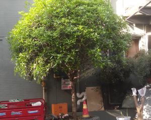 和贵蜜巢2室1厅东东北