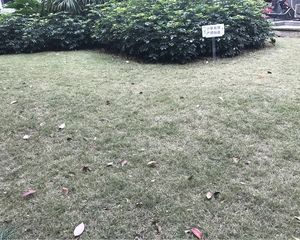 置信丽都花园A区 3室2厅 西南