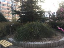 湖景苑5室2厅东南西