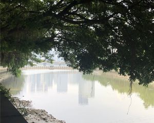 珠江帝景苑赏湖轩 4房2厅2卫 133㎡