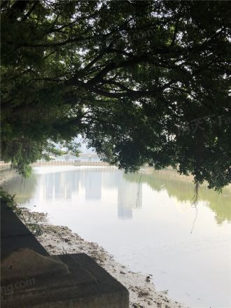 珠江帝景苑赏湖轩实景图