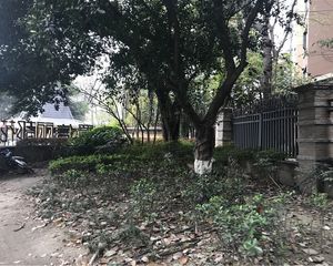 置信丽都花园A区4室1厅东南