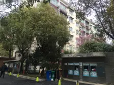 近地铁 产权清晰 无抵押 新上房源