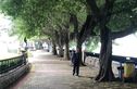 珠江帝景苑赏湖轩实景图