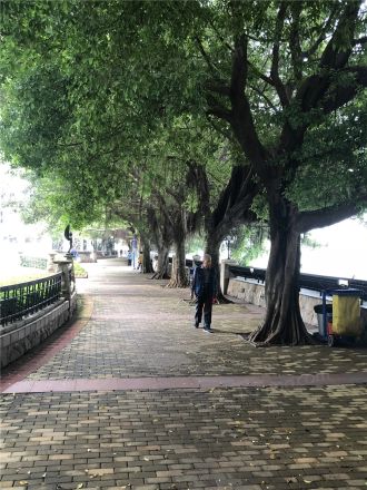珠江帝景苑赏湖轩实景图