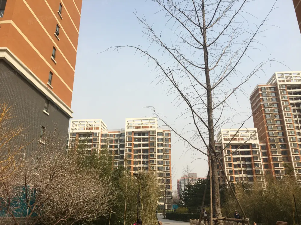 实景图