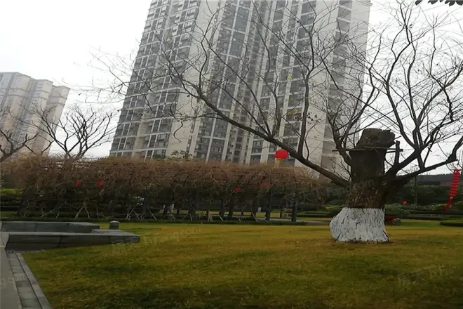 百悦·卧龙谷壹号实景图