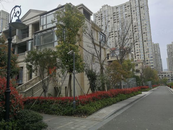 奥克斯大观实景图