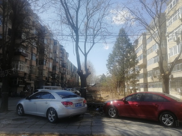 新凤小区实景图