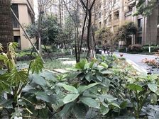 丽都世家B区 1室1厅 西北