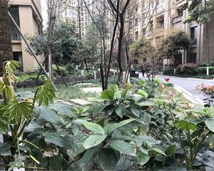 丽都世家A区2室1厅东南