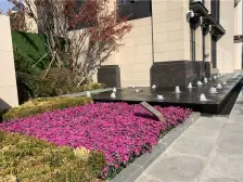 东港 网红打卡地港东五街旁龙湖物业