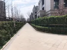 中骏天誉4室南朝向3998.00万元/套出售