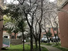 原始户型,南北通,房东置换婚房,诚意出售,随时看房,