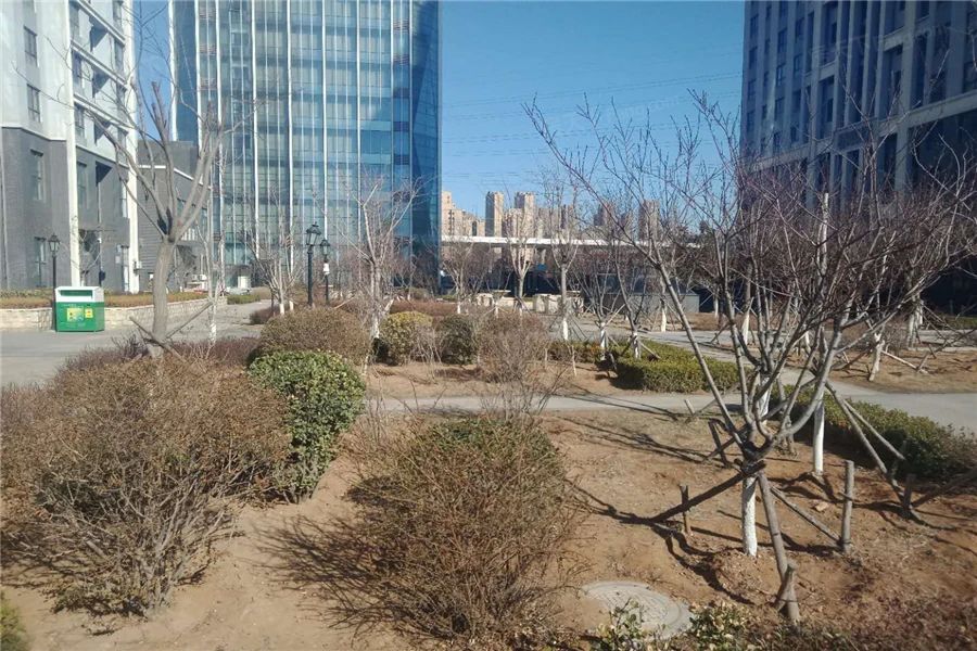 小区相关图