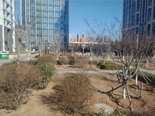 昌临家园 近鸿玮澜山轻轨站 交通方便 房主诚心卖