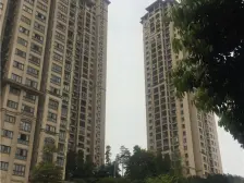 石马河 金科十年城北区三房129万