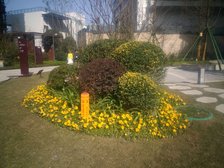 复地御香山3悦 3室2厅 南