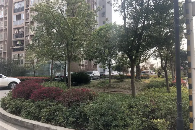 龙成小区实景图