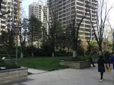 中粮鸿云3室2厅西北西北东南西南