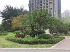 急卖 精装爱情公园 单配 产权清晰