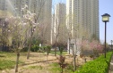 北部时光实景图