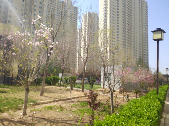 北部时光实景图