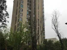 渝兴嘉悦山水 8室2厅 南